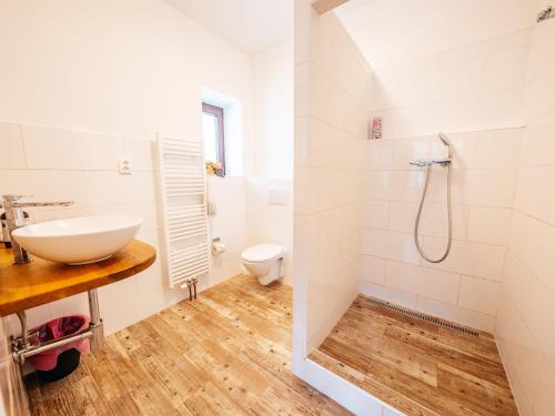 a bathroom with a sink and a toilet at Penzion Labská Vyhlídka in Litoměřice