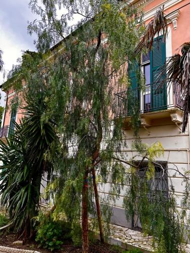 a small tree in front of a building at Villa Pandolfi in Pescara
