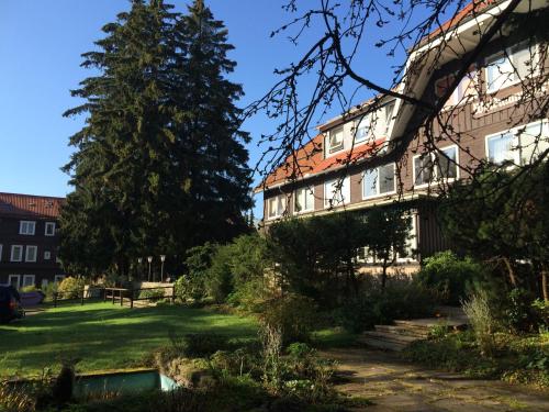 a building with a tree in front of a yard at Ferien Suite Braunlage in Braunlage