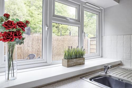 a kitchen window with a vase of red roses on a counter at Modern Spacious 2 Bedroom Apartment in Brentwood in Shenfield