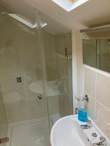 uma casa de banho com um chuveiro, um lavatório e um WC. em Cloister Park Cottages em Frithelstock
