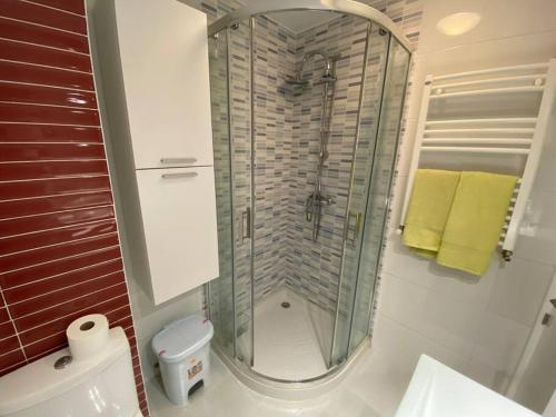 a bathroom with a shower and a toilet and towels at Apartamento acogedor en Logroño in Logroño