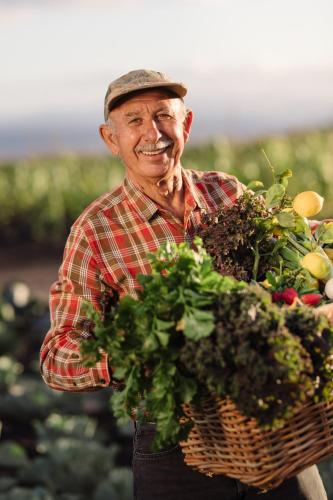an older man holding a basket of vegetables at Apartamentos El Guarapo in Costa Teguise