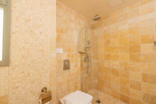 a bathroom with a shower and a toilet in it at Shifra Suite in Beer Sheva