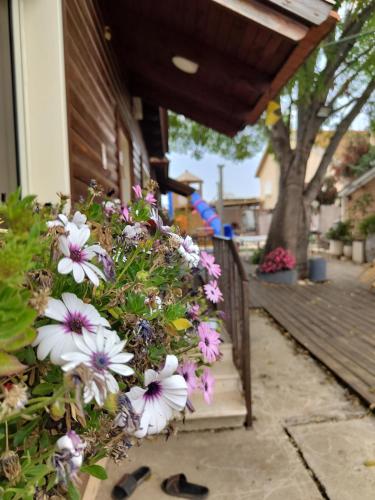 a bunch of flowers on the side of a building at שירת דבורה - אירוח משפחתי כפרי in H̱ever