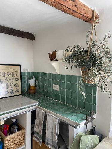 une cuisine avec un comptoir en carrelage vert dans l'établissement Le Mas des Sources, à Saint-Sèbastien