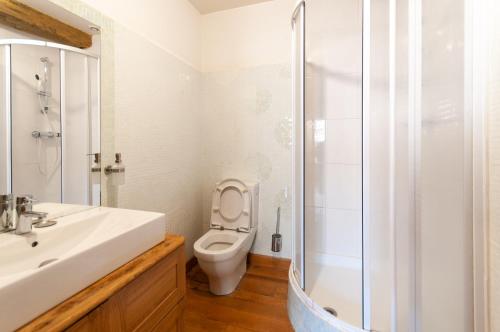 a bathroom with a toilet and a sink and a shower at Maison La Ruelle des Chats Centre Historique de Troyes in Troyes