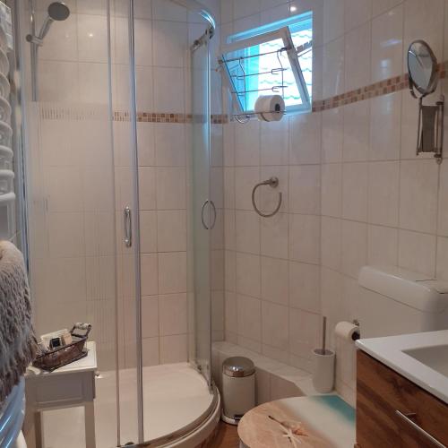 a bathroom with a shower and a toilet and a sink at Bi uns im Norden in Brunsbüttel