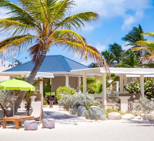 a house with a palm tree and a bench and an umbrella at Wahoo lodge, piscine privée, orient bay in Orient Bay French St Martin