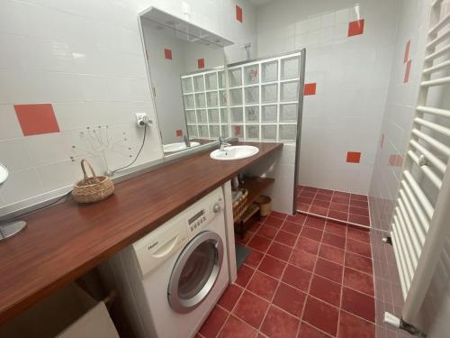 a bathroom with a washing machine and a sink at Villa rénovée à Fouras: 2 ch + mezzanine, proche plage/centre, jardin privatif, équipement complet - FR-1-709-64 in Fouras