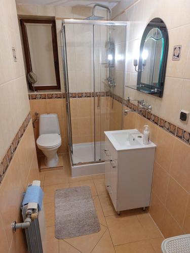 uma casa de banho com um chuveiro, um WC e um lavatório. em Iwonka Tylicz Pokoje i Apartamenty em Tylicz