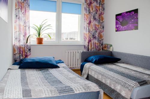 Duas camas num quarto com uma janela em Apartament Fileo em Koszalin