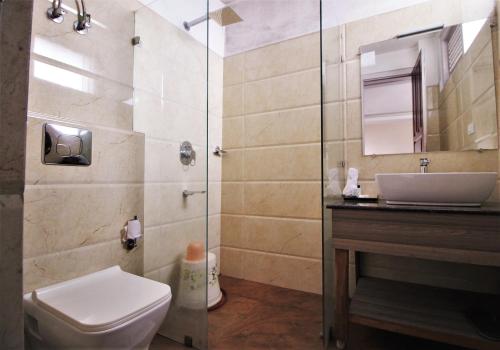 a bathroom with a toilet and a sink at Orchid Lords Eco Inn Gangtok in Gangtok