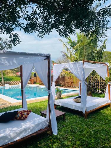 dwa łóżka pod drzewem obok basenu w obiekcie Mangal Beach Lodge w mieście Vilanculos