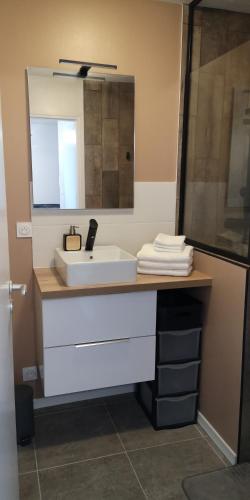une salle de bain avec un lavabo blanc et un miroir dans l'établissement Emplacement exceptionnel / Vue Etang de Vannes, à Vannes