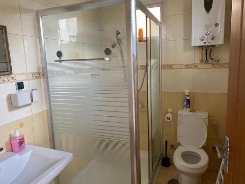 a bathroom with a shower and a toilet and a sink at Blue bay in Blue Bay