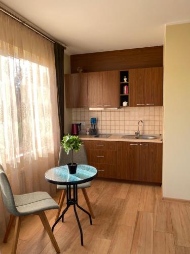 una pequeña cocina con mesa, sillas y fregadero en House in Druskininkai Oldtown, en Druskininkai