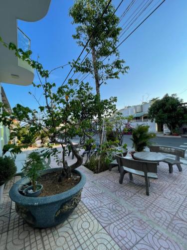 a group of benches and bonsai trees on a patio at Homestay Hoài Tâm Phan Thiết in Phan Thiet