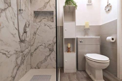 uma casa de banho com um WC e uma cabina de duche em vidro. em The Coach House - Raskelf - YO61 3LD 