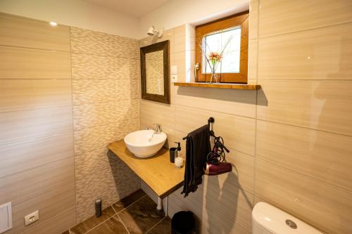 a bathroom with a sink and a mirror at Brīvdienu māja Vējiņi in Straupe