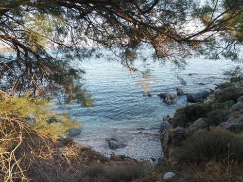 Φυσικό τοπίο κοντά σε αυτή η παραθεριστική κατοικία