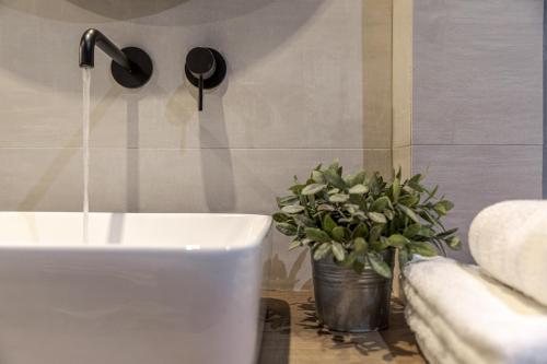 a bathroom with a sink and a potted plant at BED in Athens in Athens