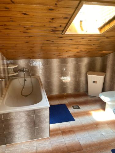 a bathroom with a bath tub and a skylight at Apartments Hrnjić in Umag