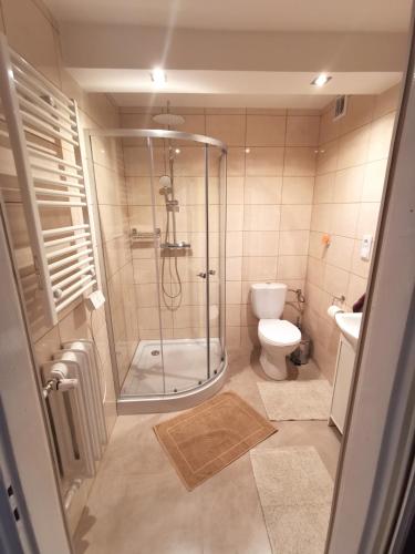 a bathroom with a shower and a toilet at Wyspani Zator in Zator