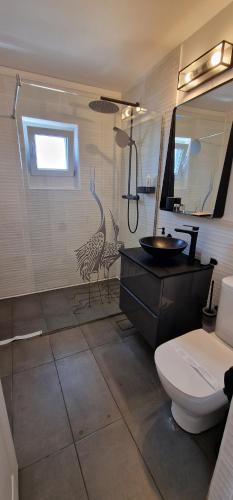 La salle de bains est pourvue de toilettes, d'un lavabo et d'un miroir. dans l'établissement Musura Bay Apartments, à Sulina