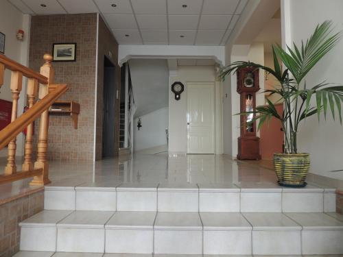 a potted plant in the middle of a hallway at Miami Studios in Loutra Edipsou