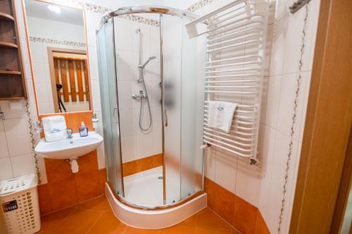La salle de bains est pourvue d'une douche et d'un lavabo. dans l'établissement Apart-Invest Apartament Hajduczek, à Szklarska Poręba