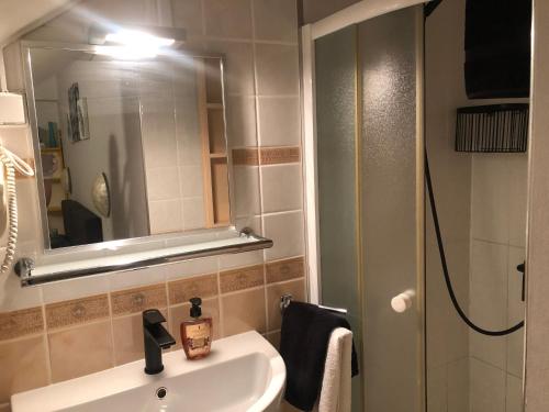 a bathroom with a sink and a mirror and a shower at Flower House - Lapad in Dubrovnik