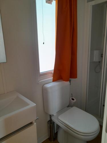 a bathroom with a toilet and a sink and a window at Agricampeggio Le Corniole in Affi