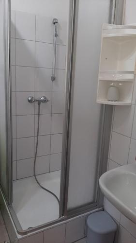 a bathroom with a shower and a toilet and a sink at Apartment BIM in Pisak