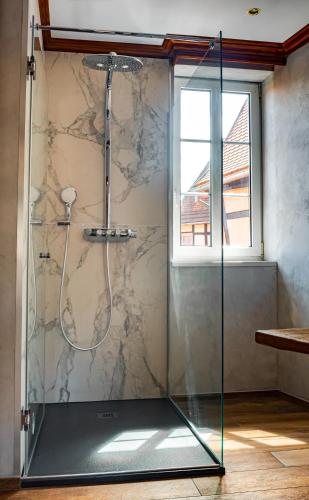 a shower with a glass door in a bathroom at La Couronne à Wissembourg in Wissembourg