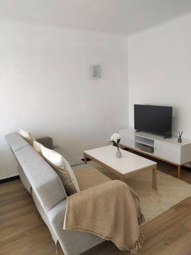 un salon avec un canapé et une télévision dans l'établissement Appartement climatisé Avignon, à Avignon