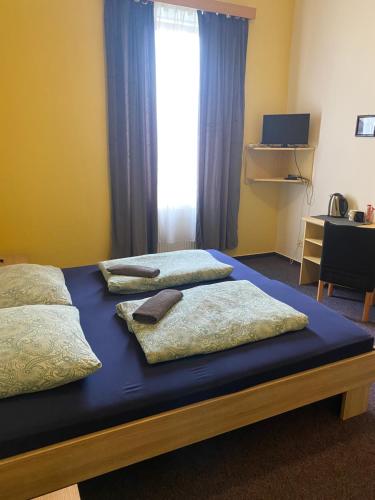 um quarto com 2 camas com almofadas e uma janela em Penzion Lara em České Budějovice