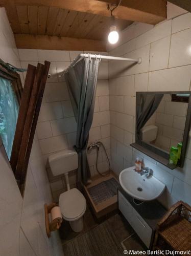a bathroom with a sink and a toilet and a mirror at Apartman Kos in Risika