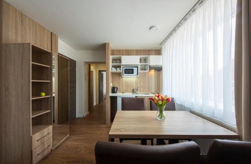Residence Šírava ***にあるキッチンまたは簡易キッチン