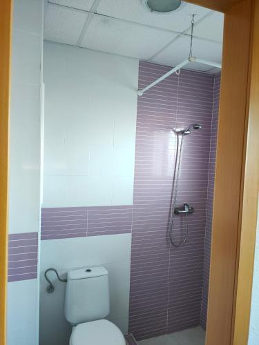 a bathroom with a toilet and a shower at Hvalles in Malgrat de Mar