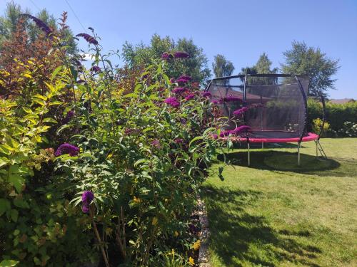 Taman di luar Oaza Dąbek