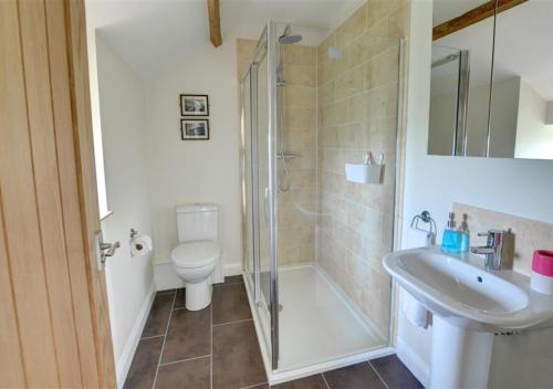 a bathroom with a shower and a toilet and a sink at Clematis Cottage in Gilling East