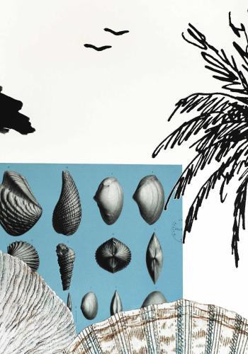a group of shells in the water next to a palm tree at Hotel La Potiniere in Hyères