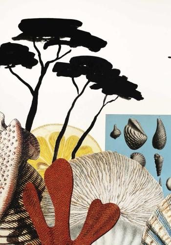 an illustration of a mushroom and seashells at Hotel La Potiniere in Hyères