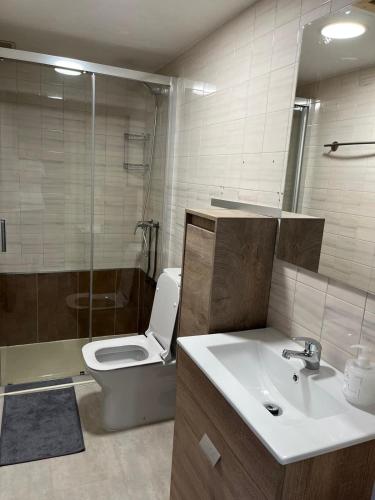 a bathroom with a toilet and a sink and a shower at PARQUE DA MUSICA-COMPOSTELA in Santiago de Compostela