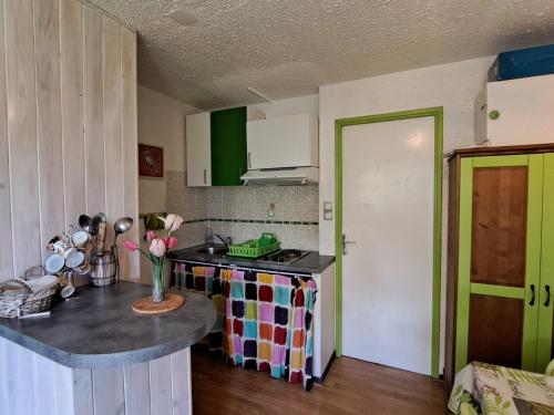 Una cocina o kitchenette en Studio Pra-Loup, 1 pièce, 6 personnes - FR-1-165A-5