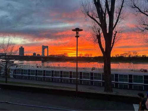 een zonsondergang boven een gebouw met een boom en een brug bij Zimmer in Köln in Keulen