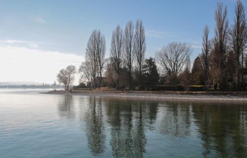 a body of water with trees reflecting in the water at Waldhaus Jakob in Konstanz