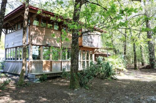 La cabane sous les pins