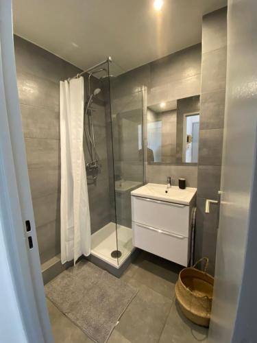 une salle de bain avec douche et lavabo dans l'établissement Studio bohème - Centre - Proche gare, à Mulhouse